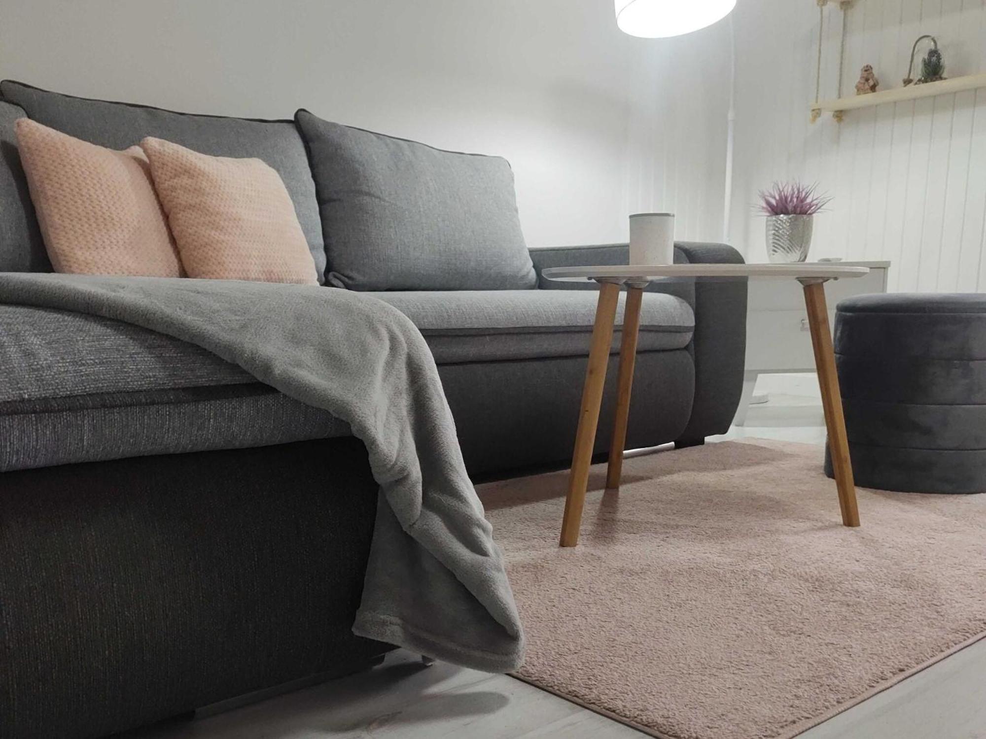 Apartment Iskra - One Bedroom Apartment - photo 3