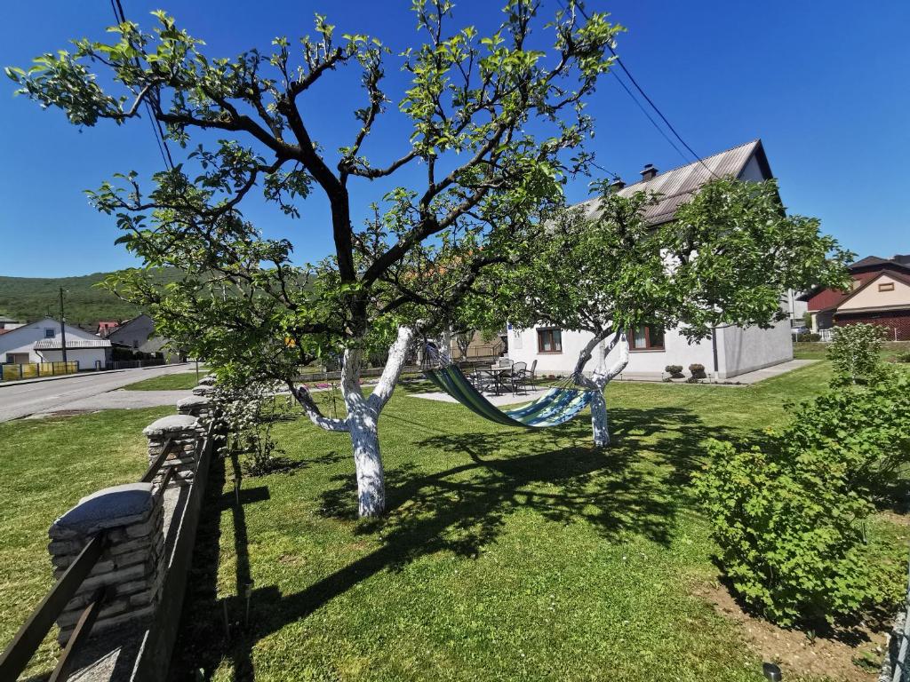 Apartment Milka - photo 2