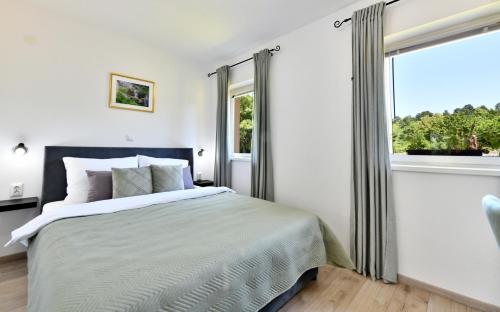 Apartments Green Linden - photo 3