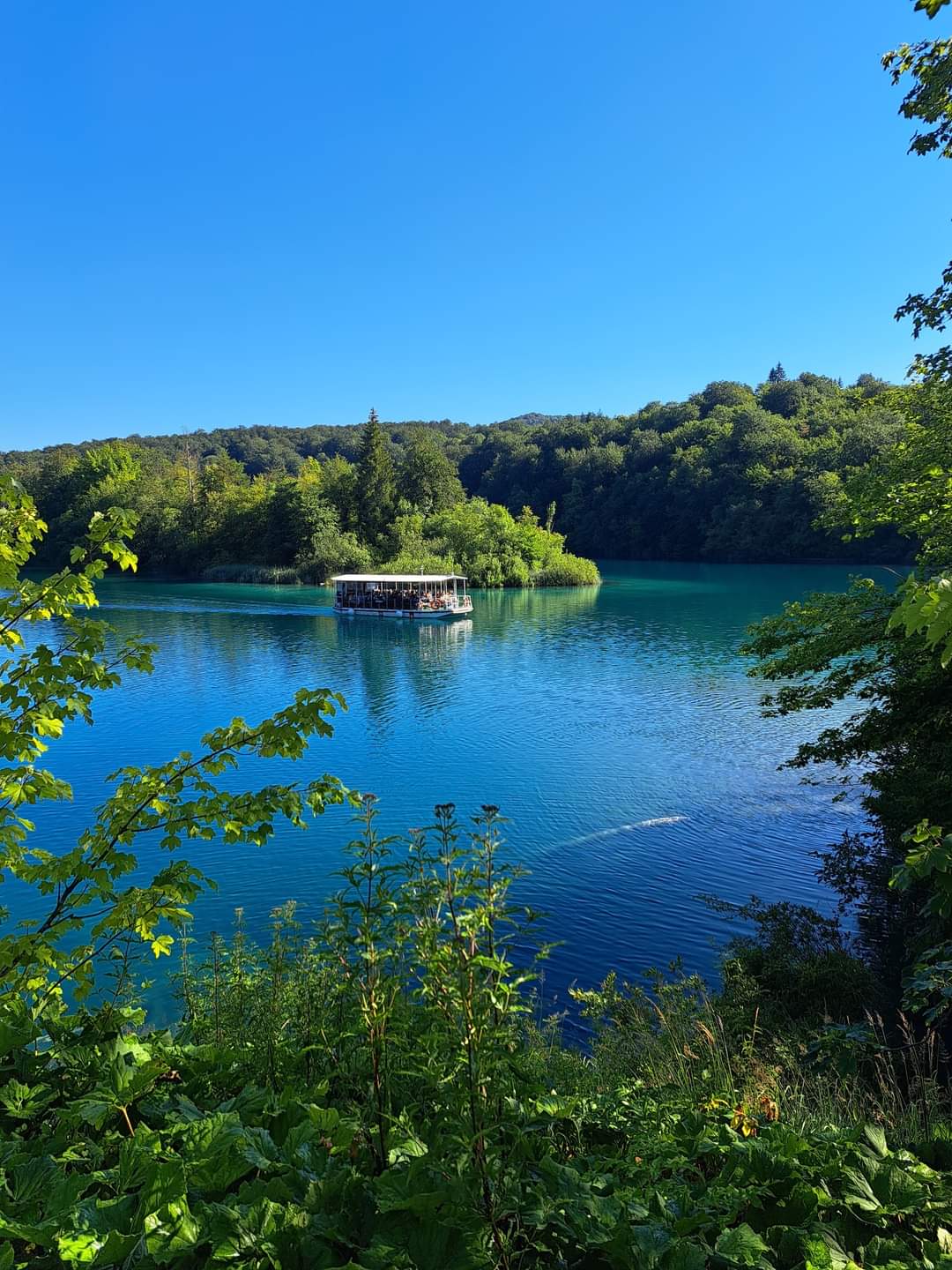 Apartments Marija - photo 4