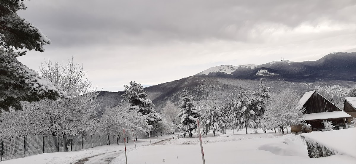 Apartments Marija - photo 5