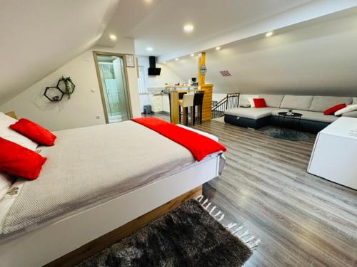 Apartments Paradise - photo 3