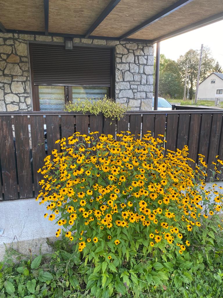 Guesthouse Family Bosnic - photo 4