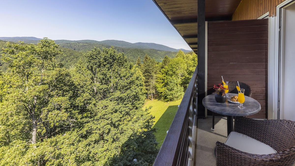 Hotel Jezero - photo 5