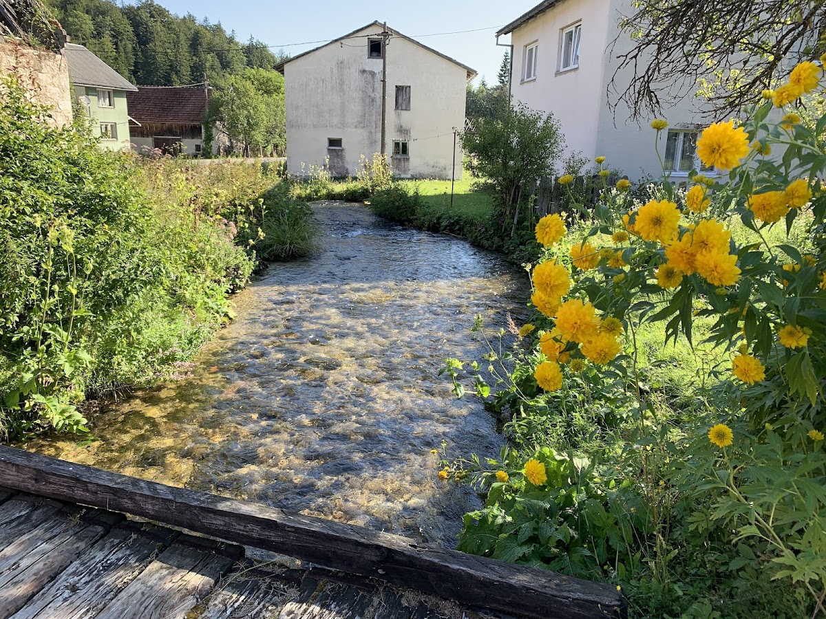 House Mila - photo 5