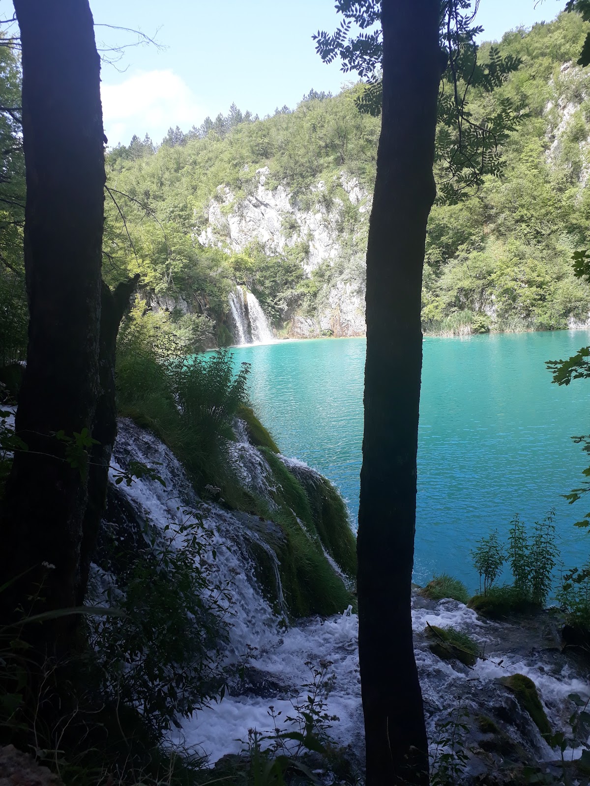 Pansion Venera - photo 4