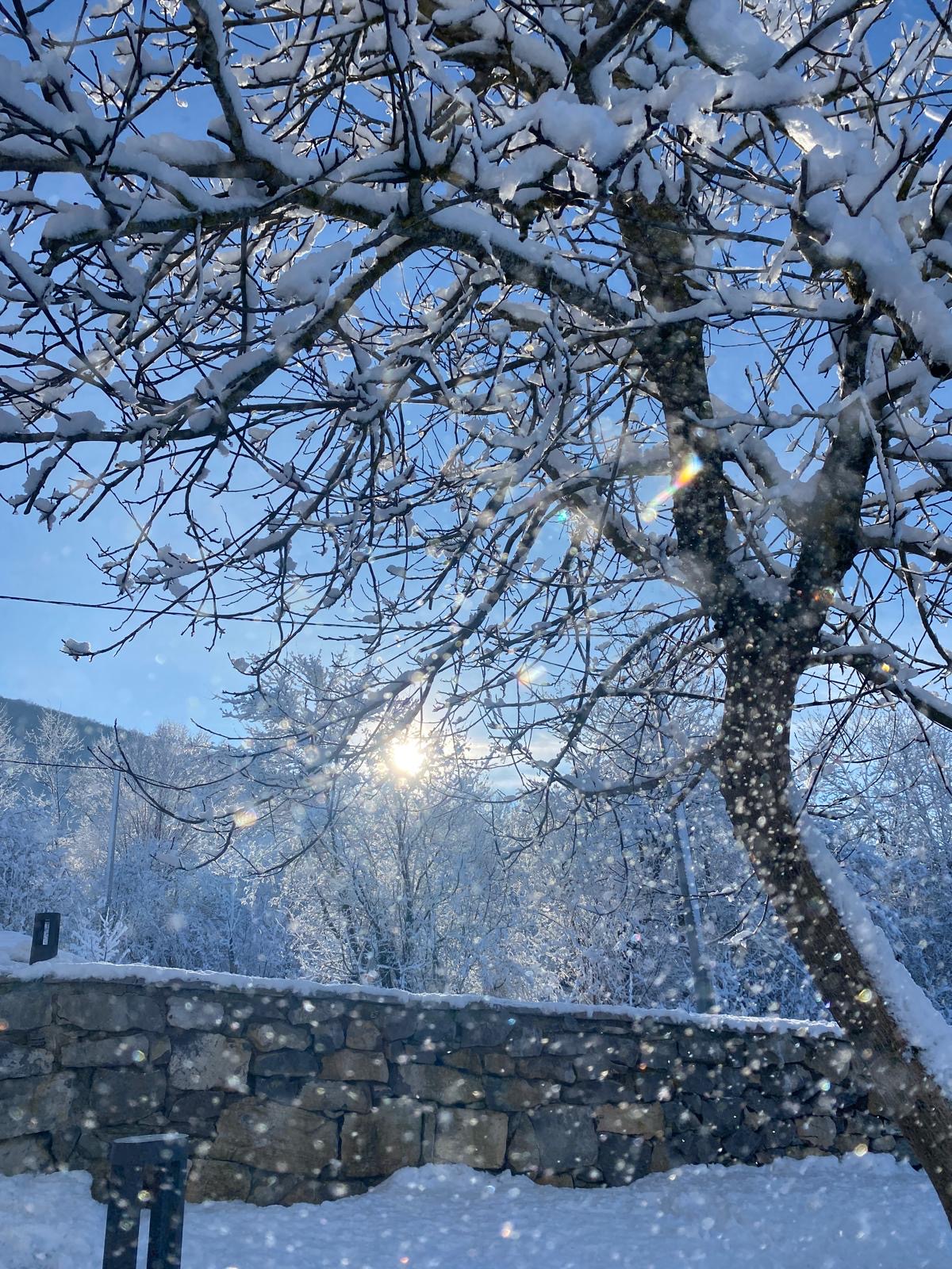 Plitvice Village - photo 5