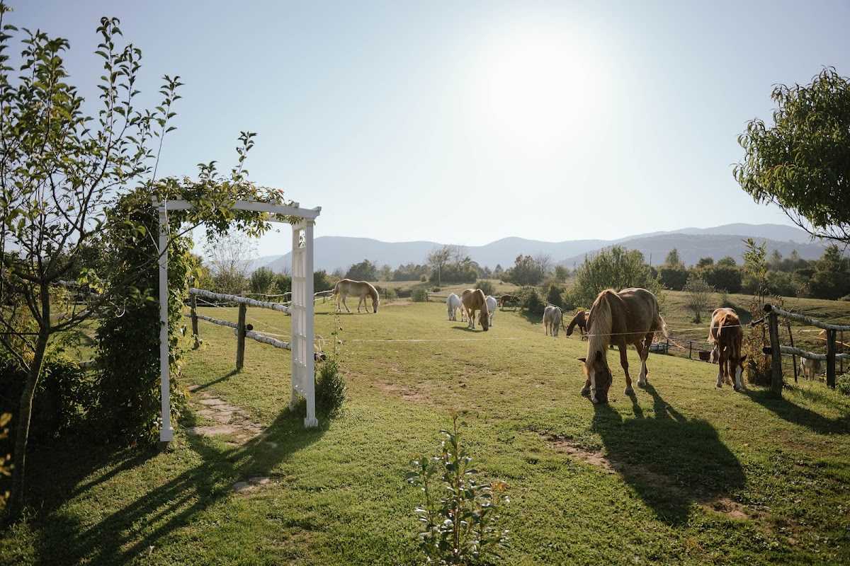 Ranch Terra - photo 4