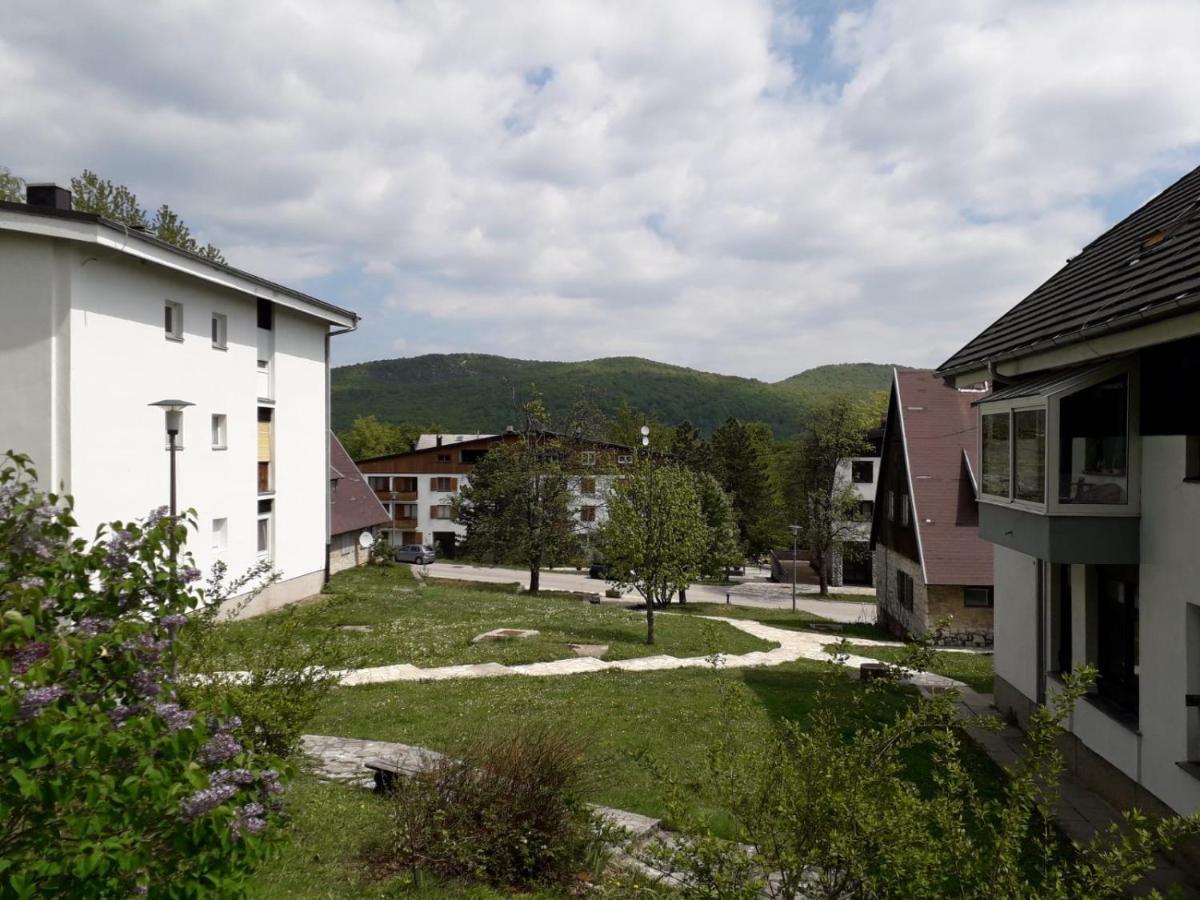 Rooms Ivka - photo 2