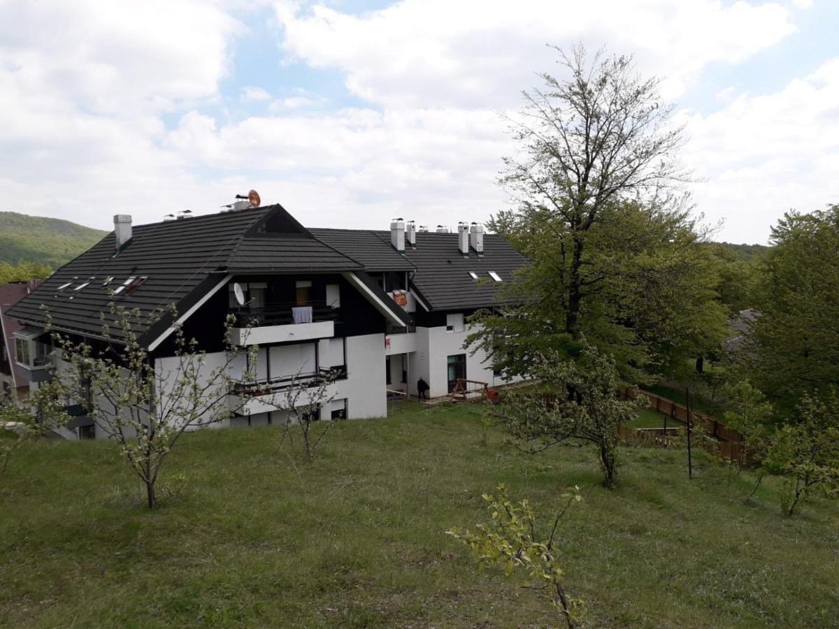 Rooms Ivka - photo 3