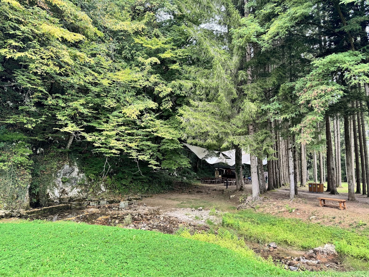 Barač Caves Guided Tour - photo 3