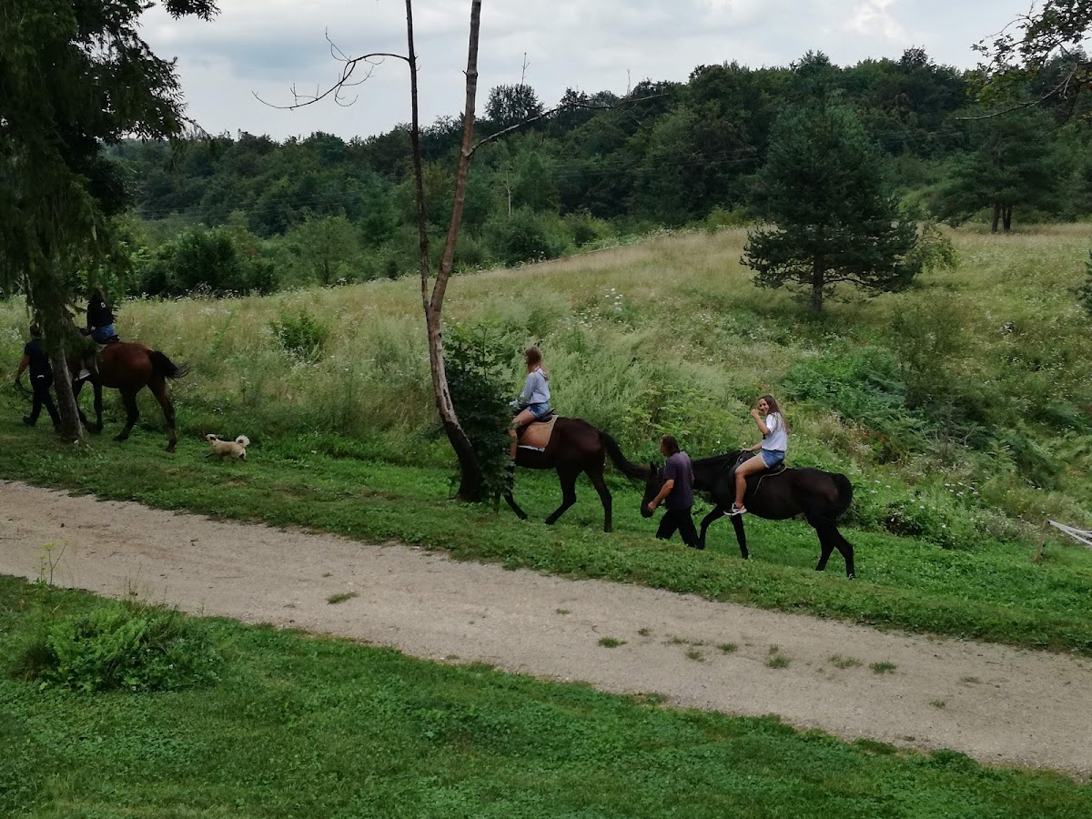 Horse Riding at Equestrian Center Rastoke - photo 3