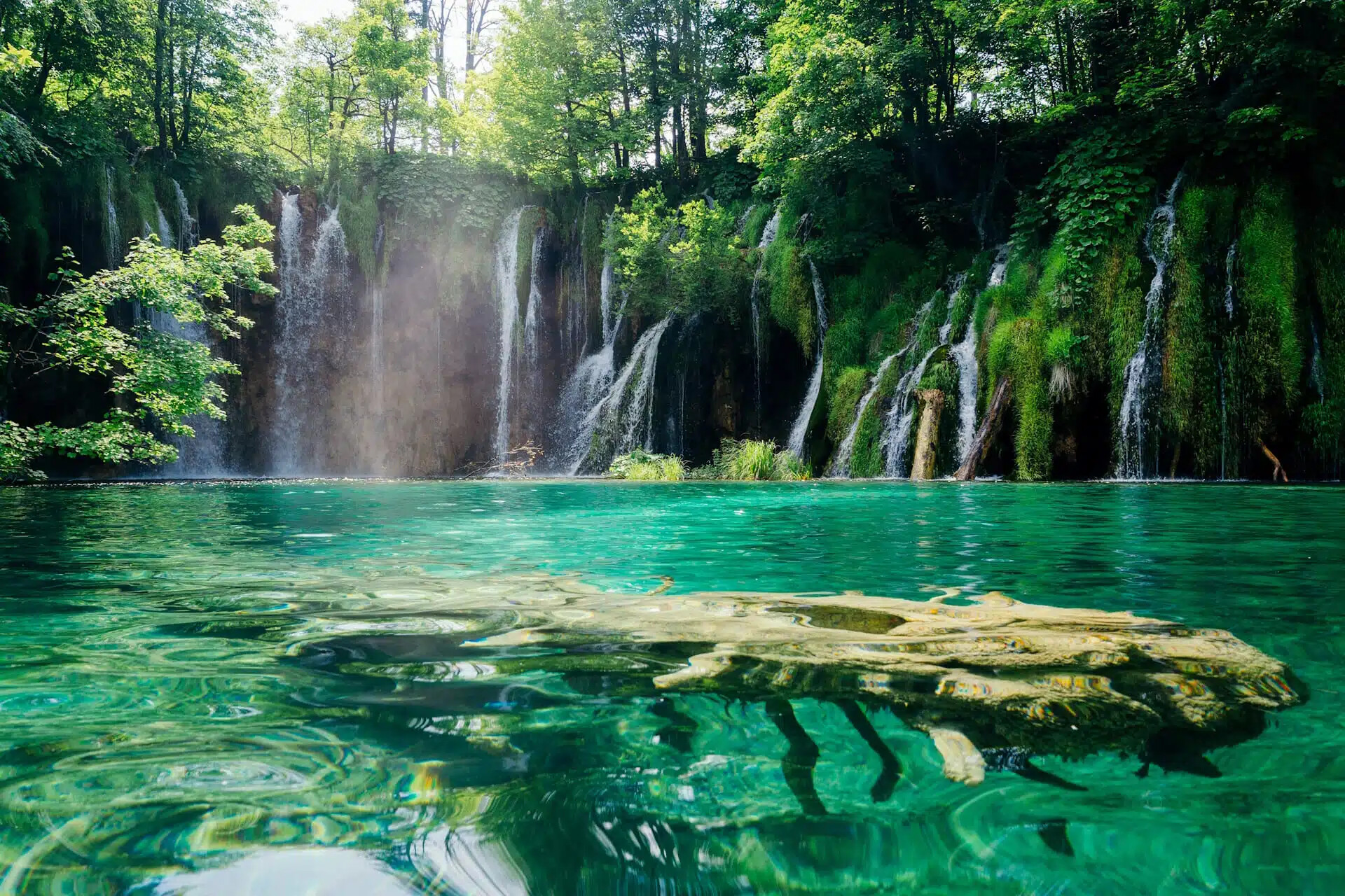 Plitvice Lakes Guided Tour with Skip-the-Line Access