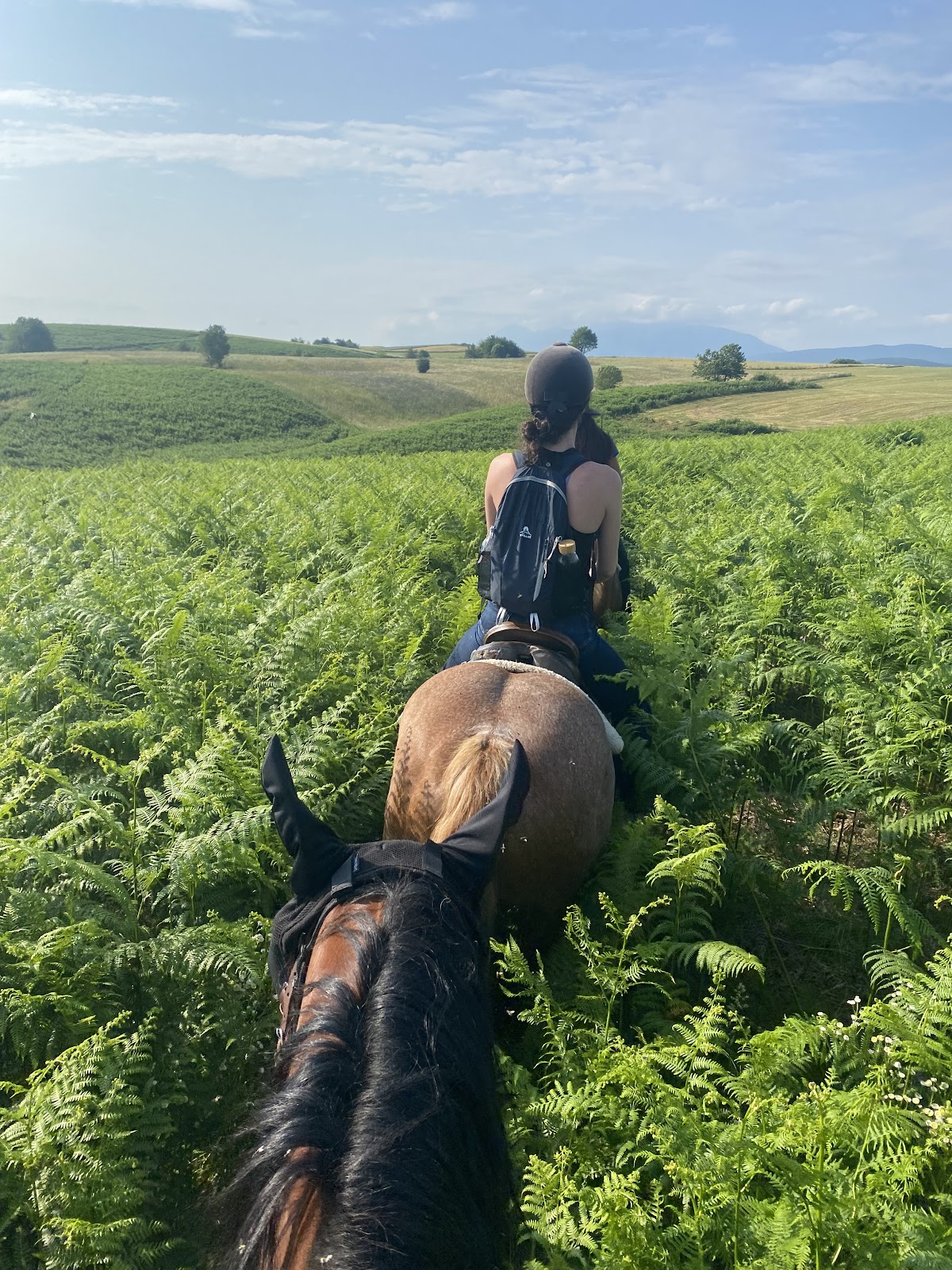Ranch Terra Horse Riding - photo 2