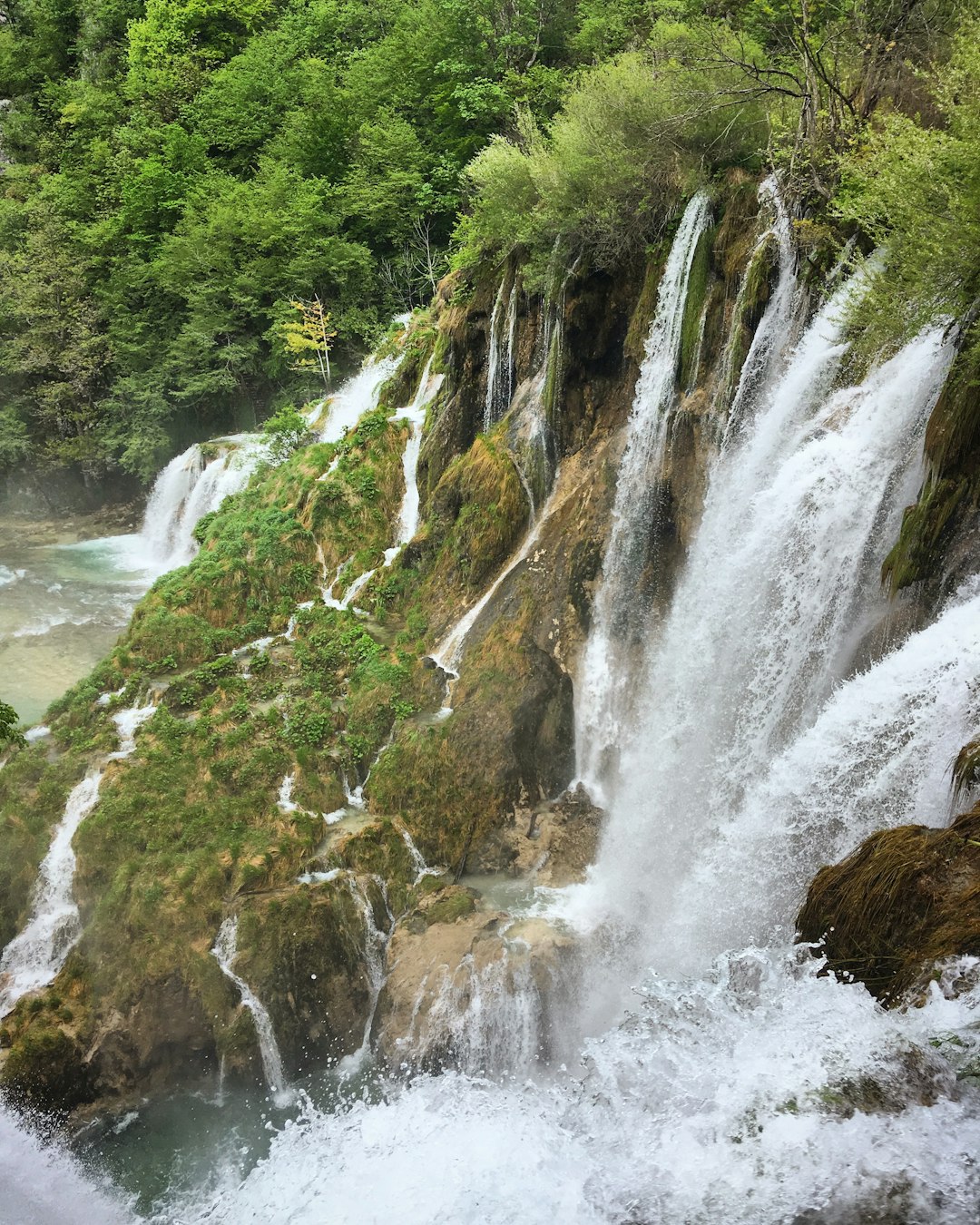 Powerful spring waterfalls cascading through lush green forest at Plitvice Lakes