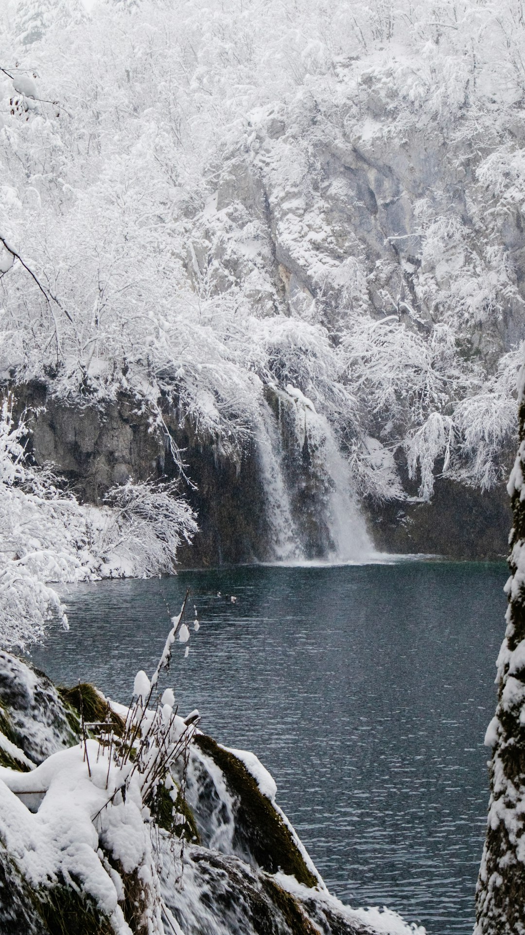 Frozen waterfall surrounded by snow-covered trees at Plitvice Lakes in winter