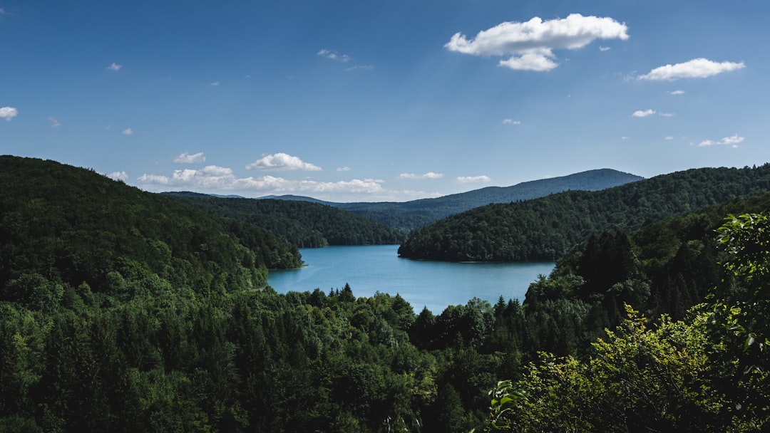 Lake house surrounded by trees at Plitvice Lakes National Park