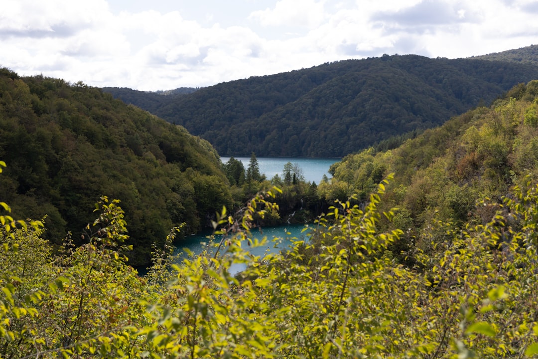 Plitvice Lakes landscape with green trees and flowing water