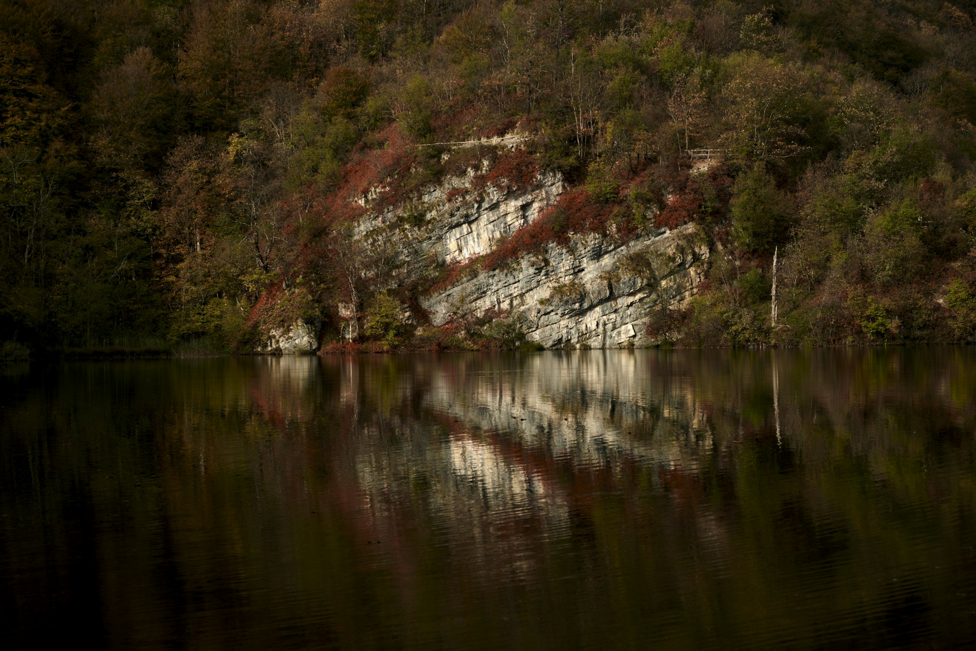 Body of water with autumn-colored trees reflected at Plitvice Lakes