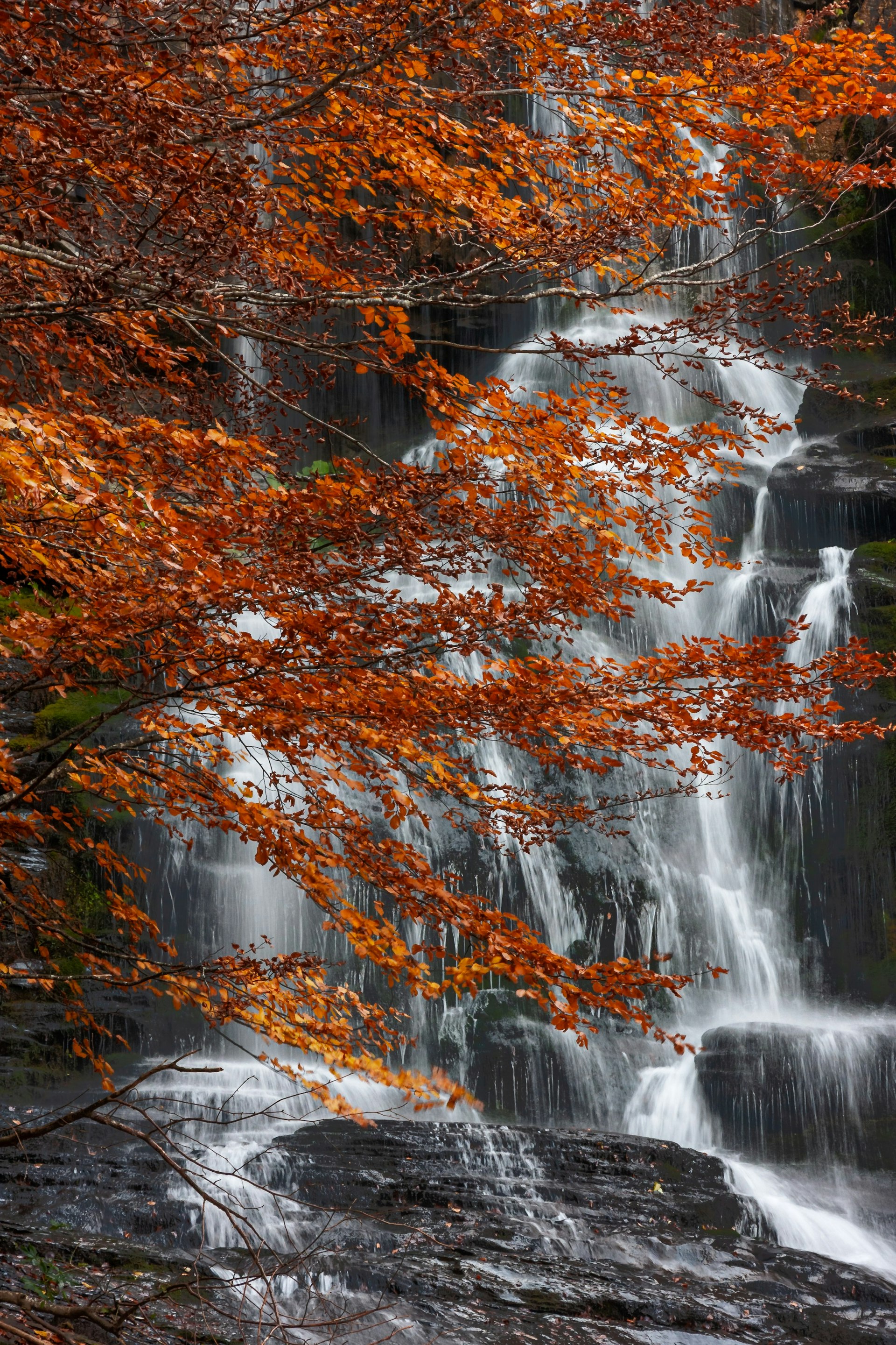 Waterfall framed by orange autumn leaves at Plitvice Lakes National Park
