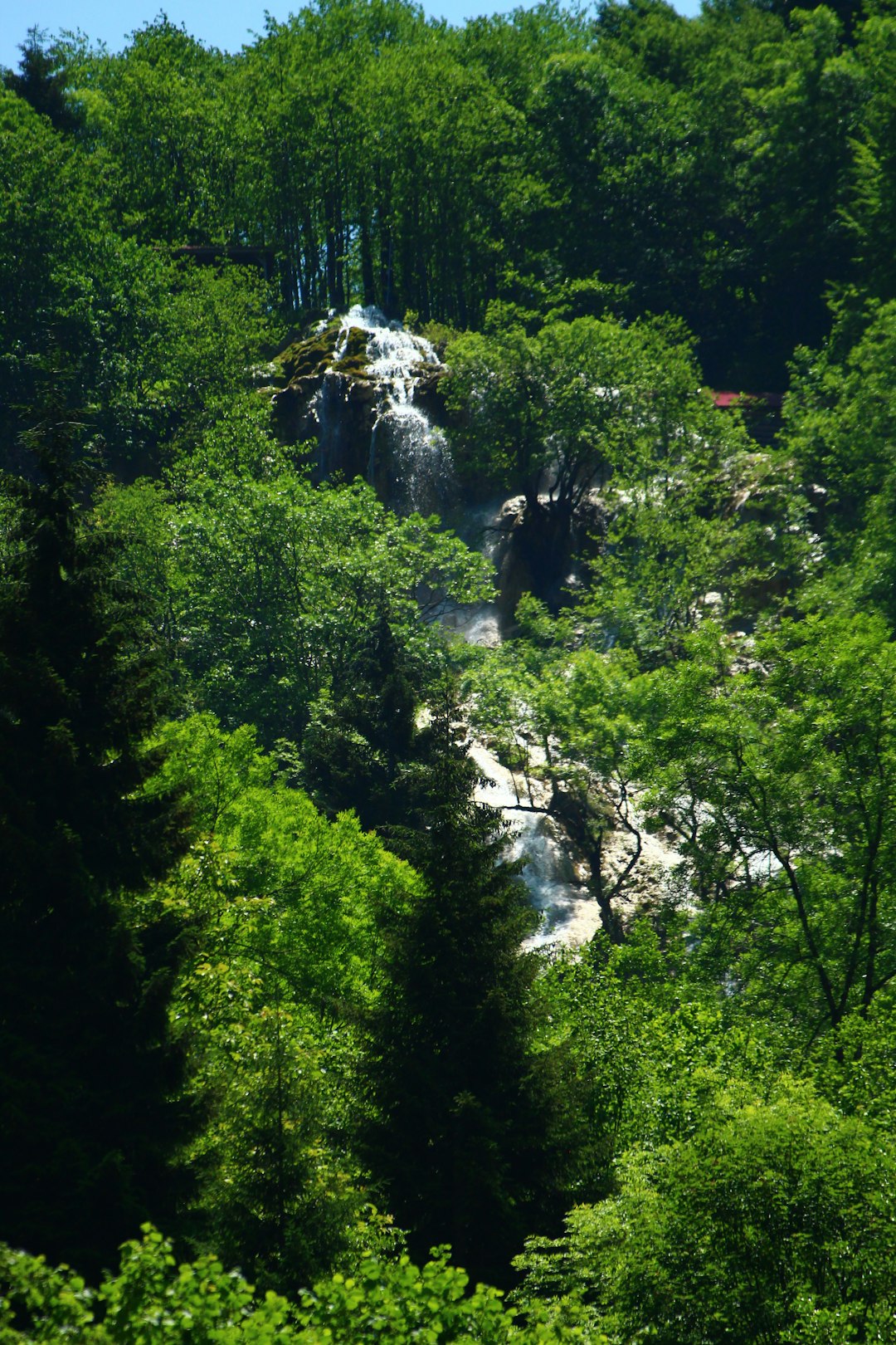 Powerful waterfall cascading through green forest at Plitvice
