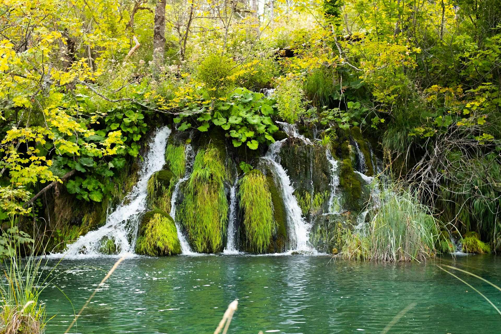 Plitvice Lakes National Park waterfall surrounded by lush spring forest