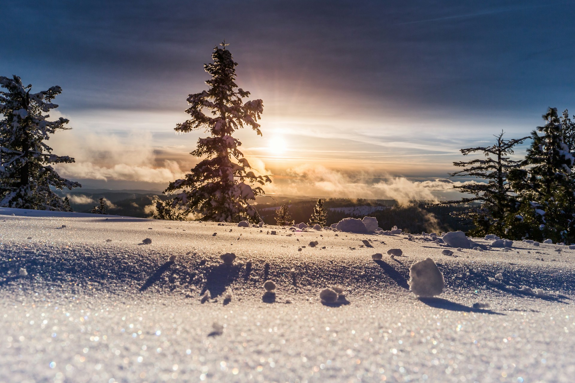 Snowy path through winter forest