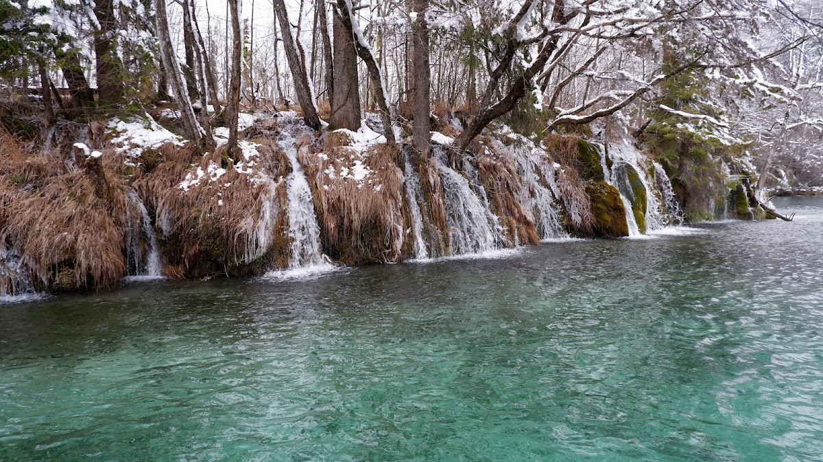 Peaceful upper lakes trail through dense green forest