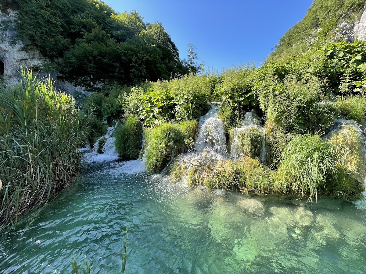 Transportation arrival at national park entrance area
